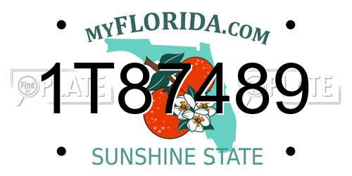 1T87489 Florida License Plate