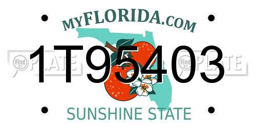 1T95403 Florida License Plate