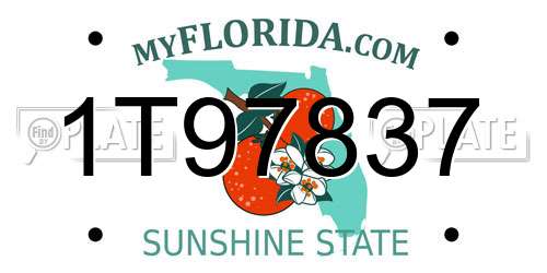 1T97837 Florida License Plate