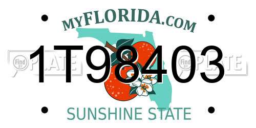 1T98403 Florida License Plate