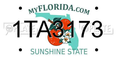 1TA3173 Florida License Plate