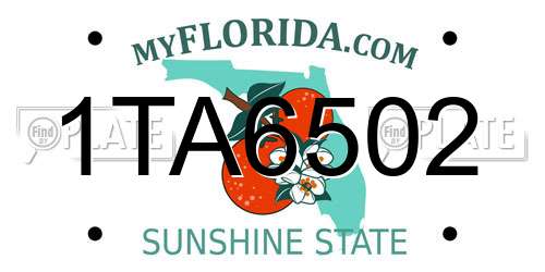 1TA6502 Florida License Plate