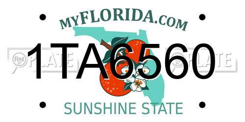 1TA6560 Florida License Plate