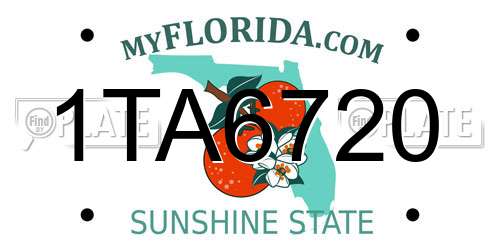 1TA6720 Florida License Plate