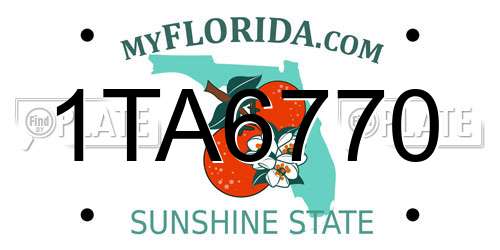 1TA6770 Florida License Plate