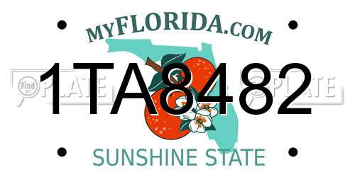 1TA8482 Florida License Plate