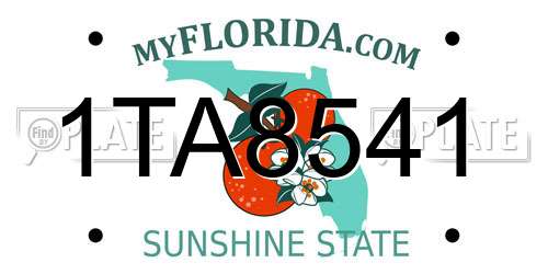 1TA8541 Florida License Plate