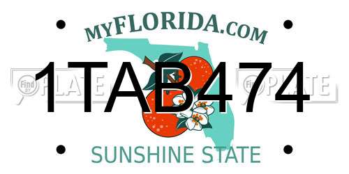 1TAB474 Florida License Plate