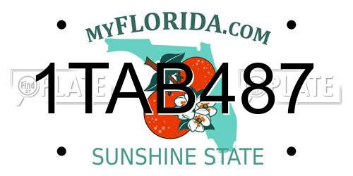 1TAB487 Florida License Plate