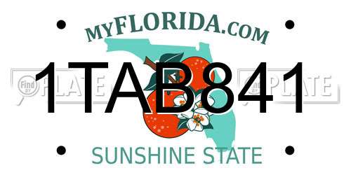 1TAB841 Florida License Plate