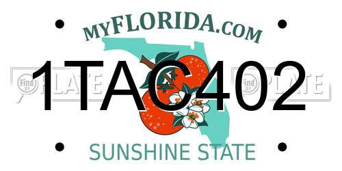1TAC402 Florida License Plate