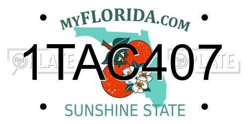 1TAC407 Florida License Plate
