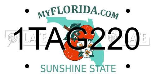 1TAG220 Florida License Plate