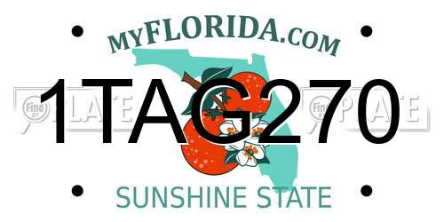 1TAG270 Florida License Plate