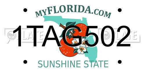1TAG502 Florida License Plate
