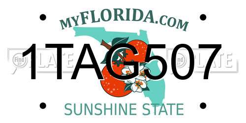 1TAG507 Florida License Plate