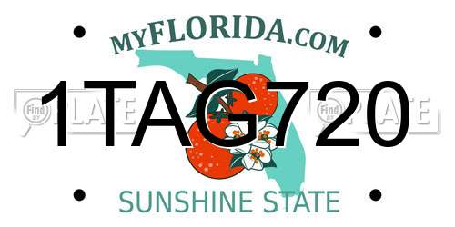 1TAG720 Florida License Plate