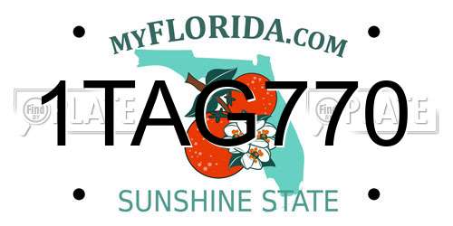 1TAG770 Florida License Plate