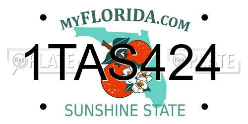 1TAS424 Florida License Plate