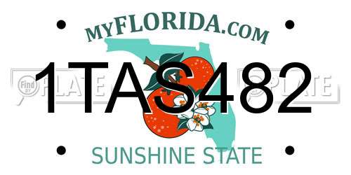 1TAS482 Florida License Plate