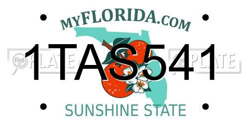 1TAS541 Florida License Plate