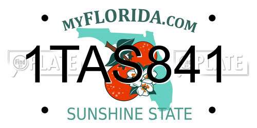 1TAS841 Florida License Plate