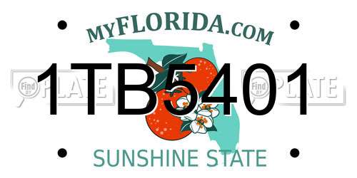 1TB5401 Florida License Plate