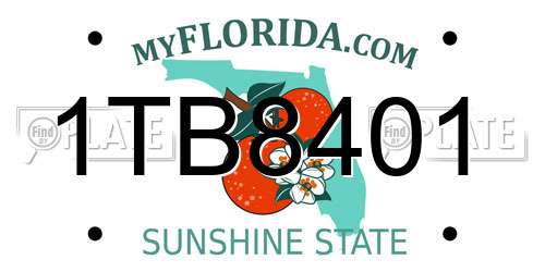 1TB8401 Florida License Plate