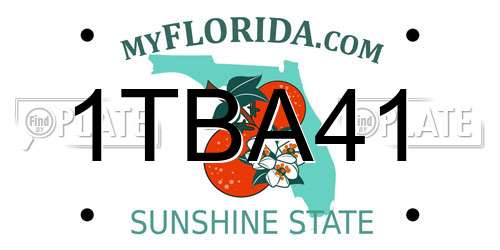 1TBA41 Florida License Plate