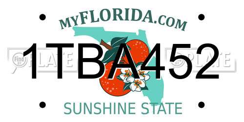 1TBA452 Florida License Plate