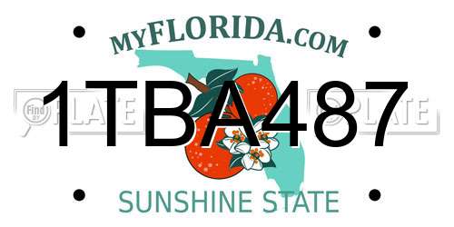 1TBA487 Florida License Plate