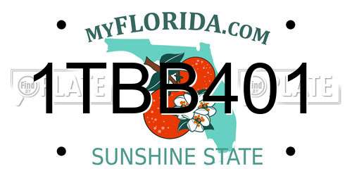 1TBB401 Florida License Plate