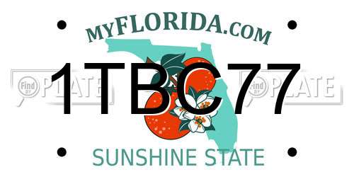 1TBC77 Florida License Plate