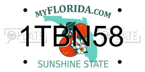 1TBN58 Florida License Plate