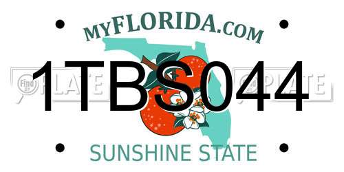 1TBS044 Florida License Plate