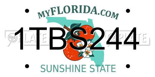 1TBS244 Florida License Plate