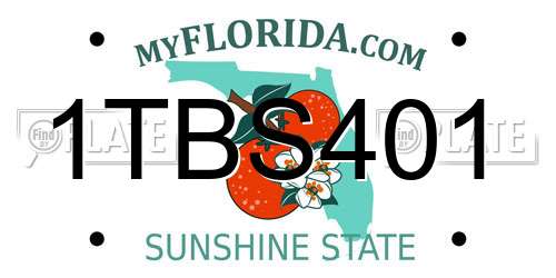 1TBS401 Florida License Plate