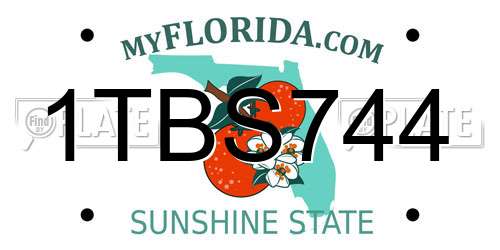 1TBS744 Florida License Plate