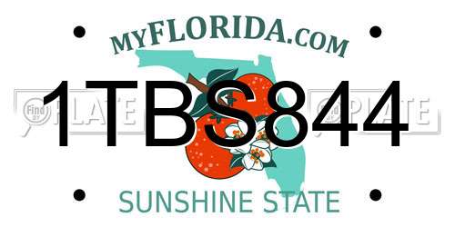 1TBS844 Florida License Plate