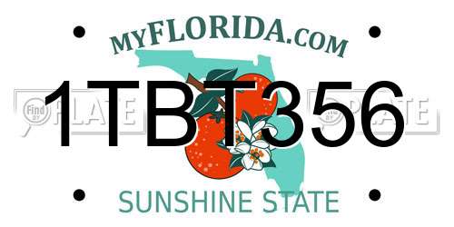 1TBT356 Florida License Plate