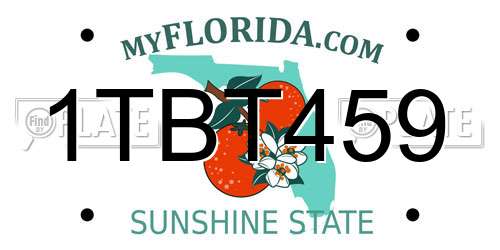 1TBT459 Florida License Plate