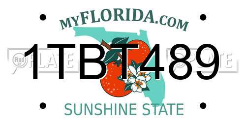 1TBT489 Florida License Plate