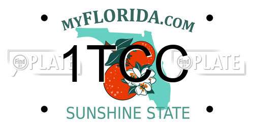 1TCC Florida License Plate