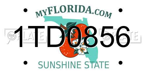 1TD0856 Florida License Plate