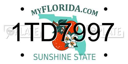 1TD7997 Florida License Plate