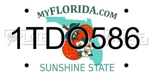 1TDO586 Florida License Plate