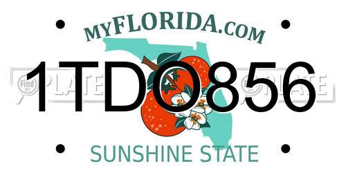 1TDO856 Florida License Plate