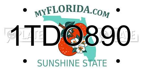1TDO890 Florida License Plate