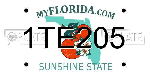 1TE205 Florida License Plate