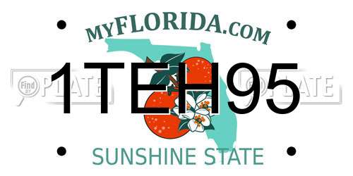 1TEH95 Florida License Plate